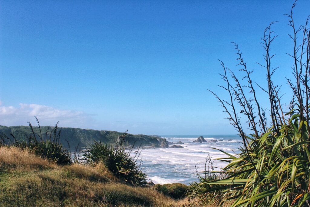 west coast of south island, new zealand. ocean with large wave and large cliffs