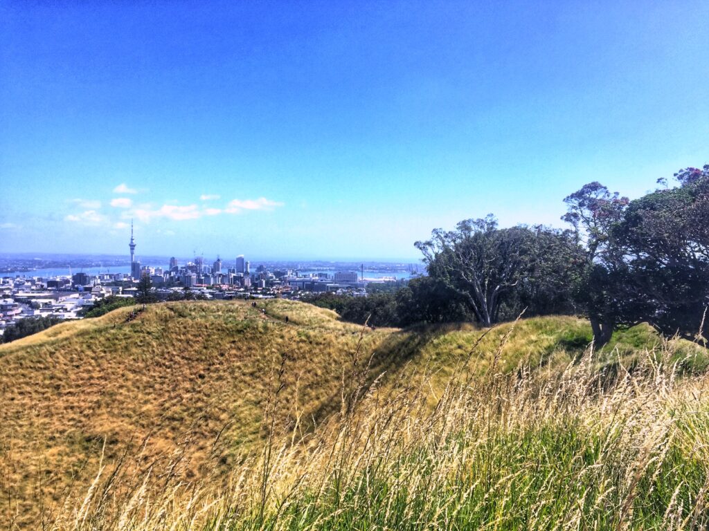 View of Auckland CBD from the crater at Eden Park, New Zealand. new zealand itinerary