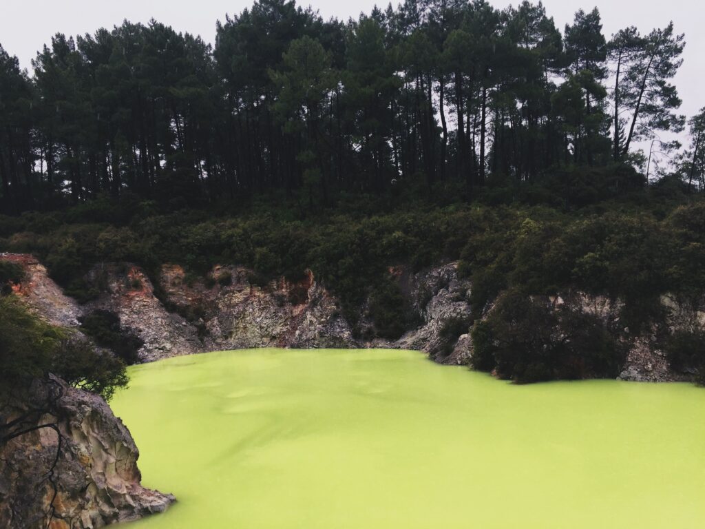 bright green lake in wai-o-tapu, new zelaand