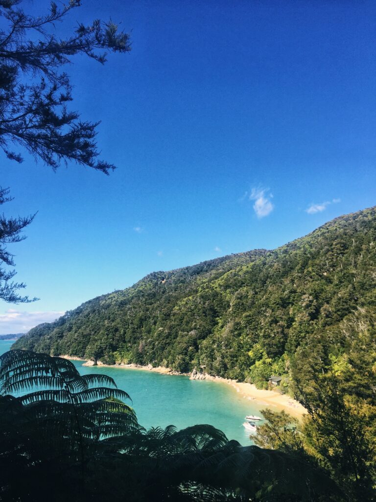 abel tasman national park, new zealand. beach, sea and hill with lots of trees