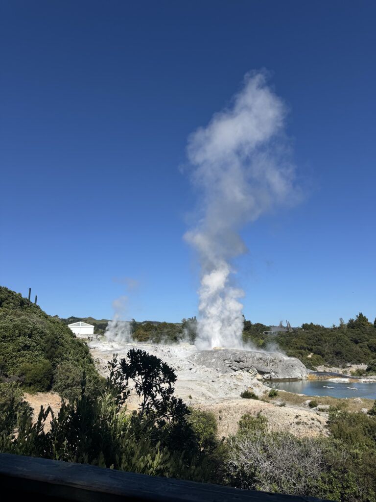 te puia geyser erupting, new zealand