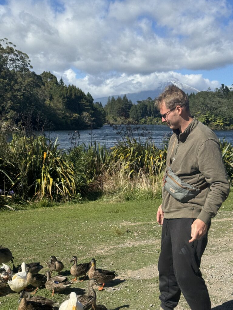 man feeding ducks with background of lake and mount taranaki, new zealand