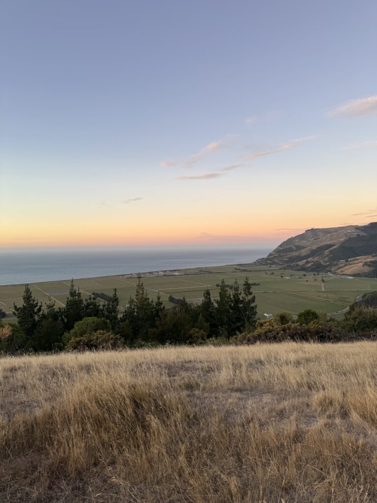 sunset photo outside of nelson, new zealand. fields in foreground, sunset and ocean in background