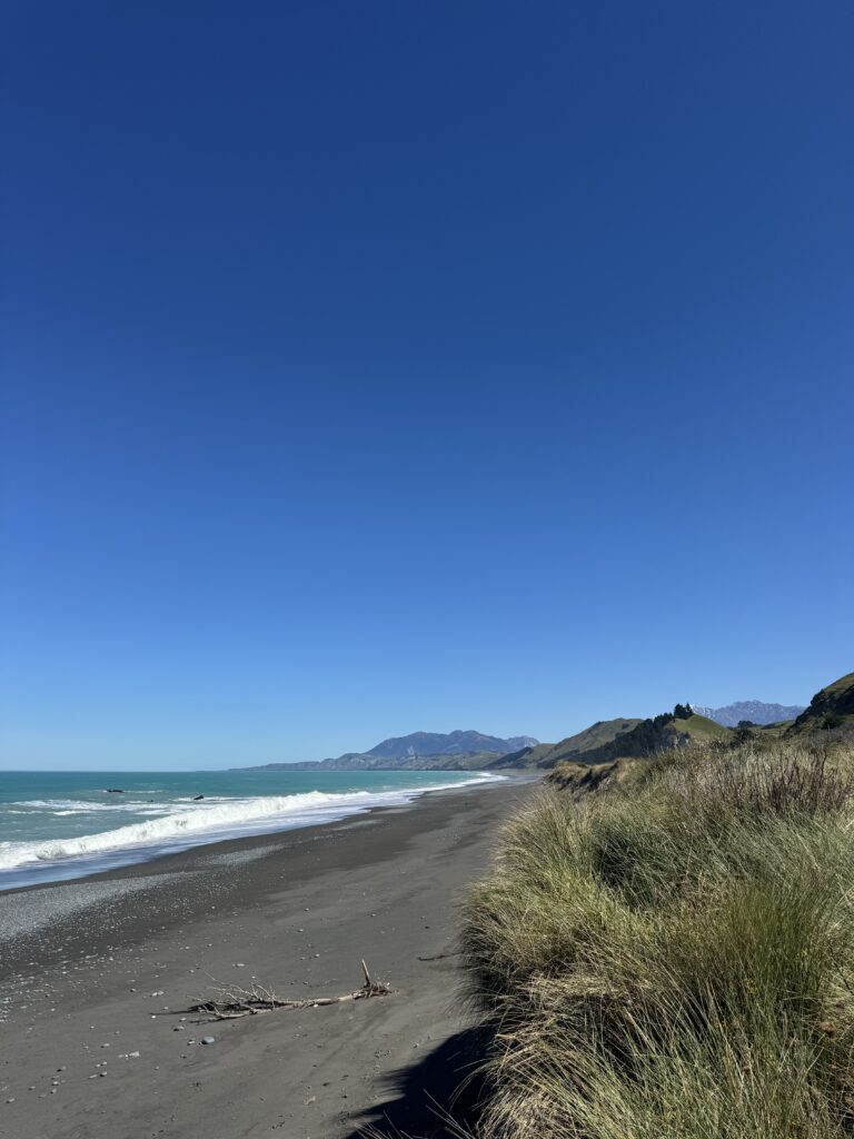black sand beach in kaikoura, new zealand