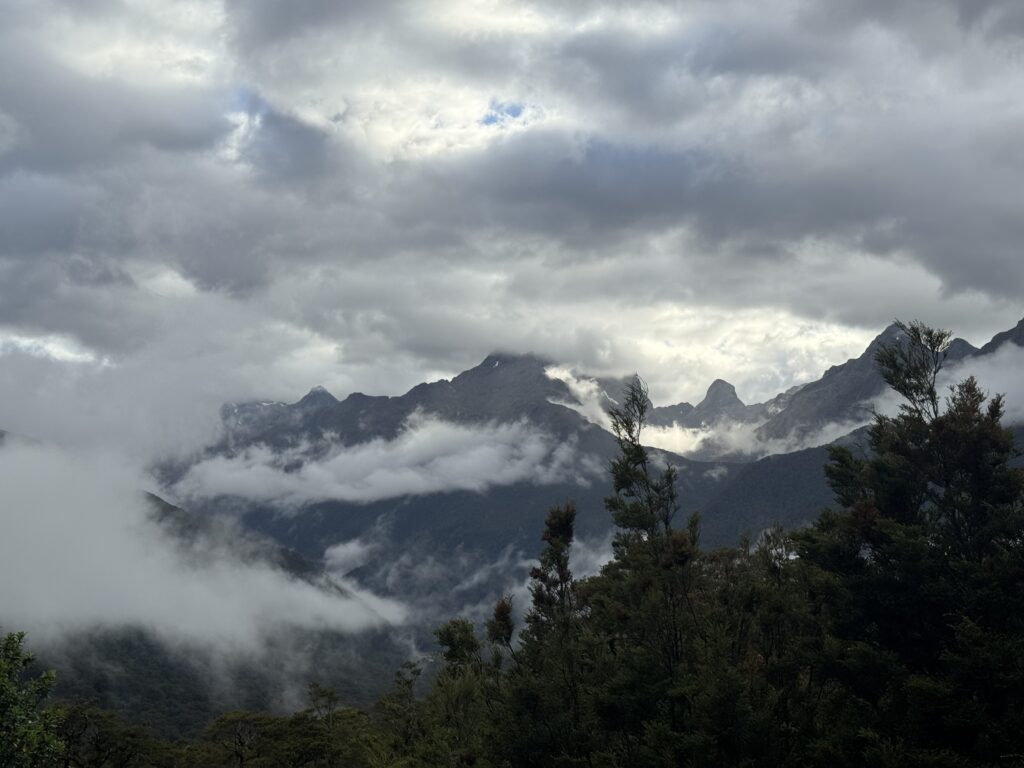 Hollyford Valley Lookout, milford sound, new zealand