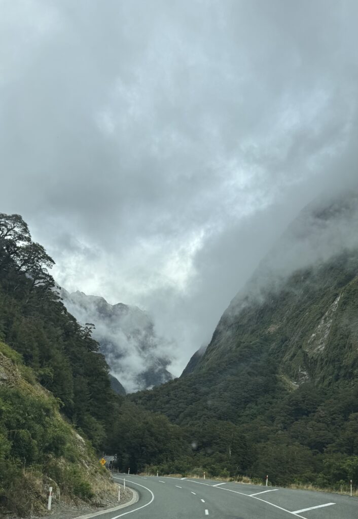 Hollyford Valley Lookout, milford sound, new zealand. big mountains with road in valley