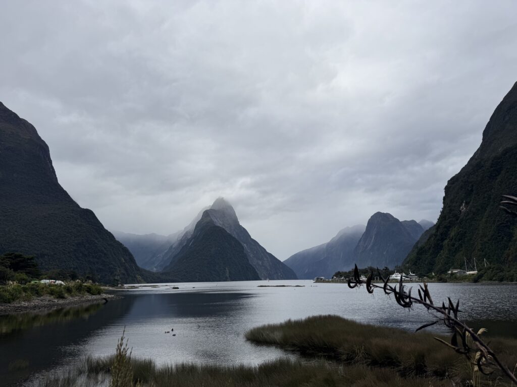 Milford Sound Walkway Lookout, new zealand. cloudy day