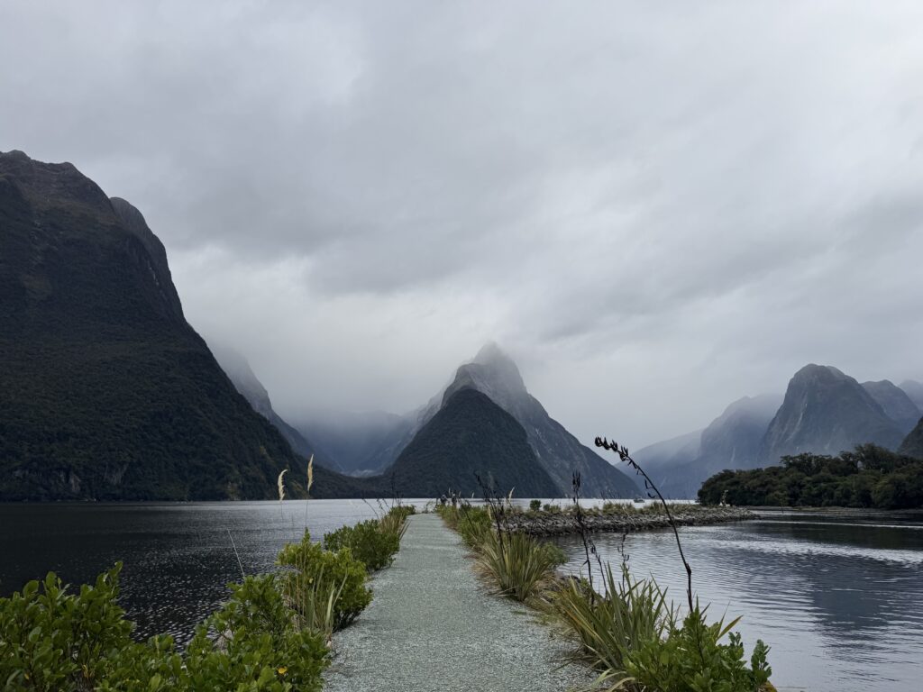 Milford Sound Walkway Lookout, new zealand. cloudy day