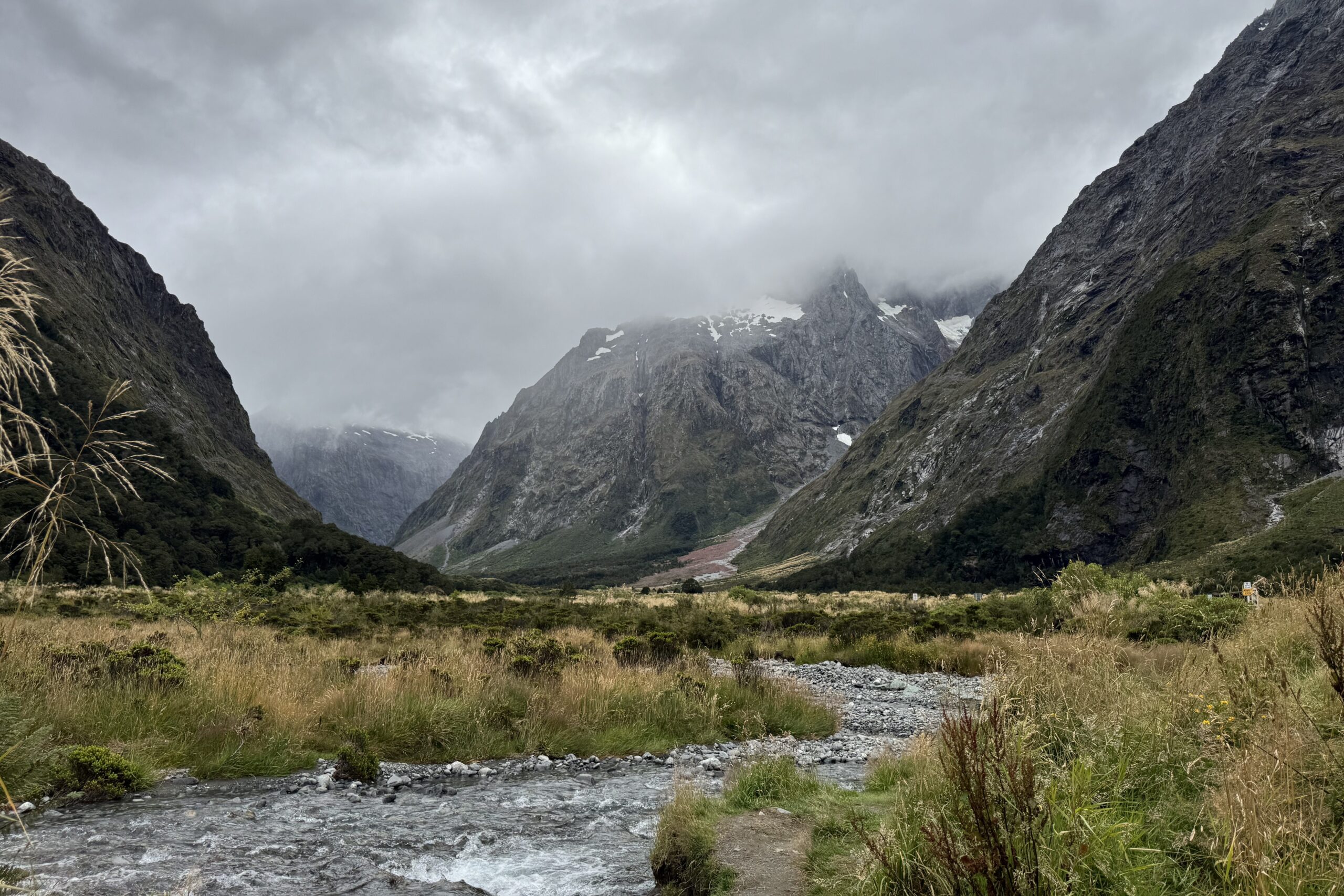 monkey creek, milford sound, new zealand