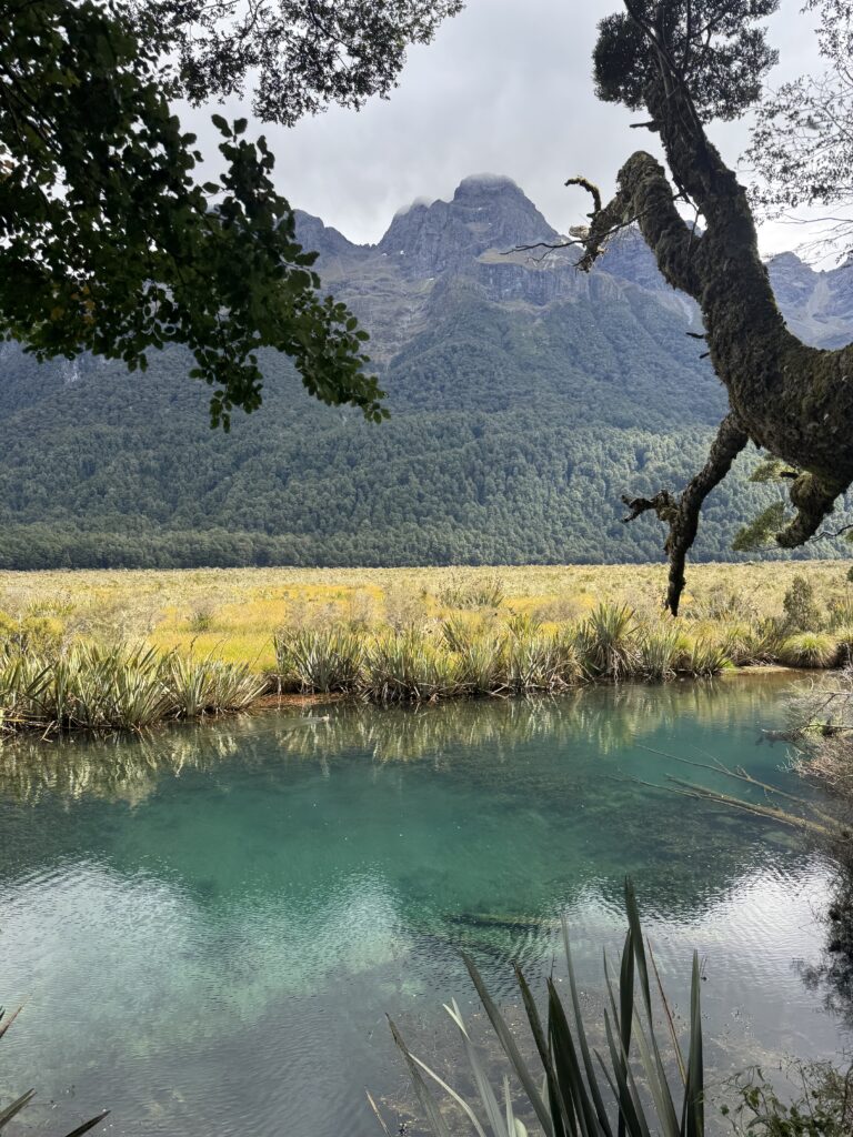 mirror lakes, milford sound.