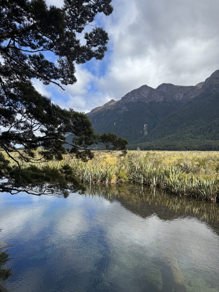 mirror lakes, milford sound.