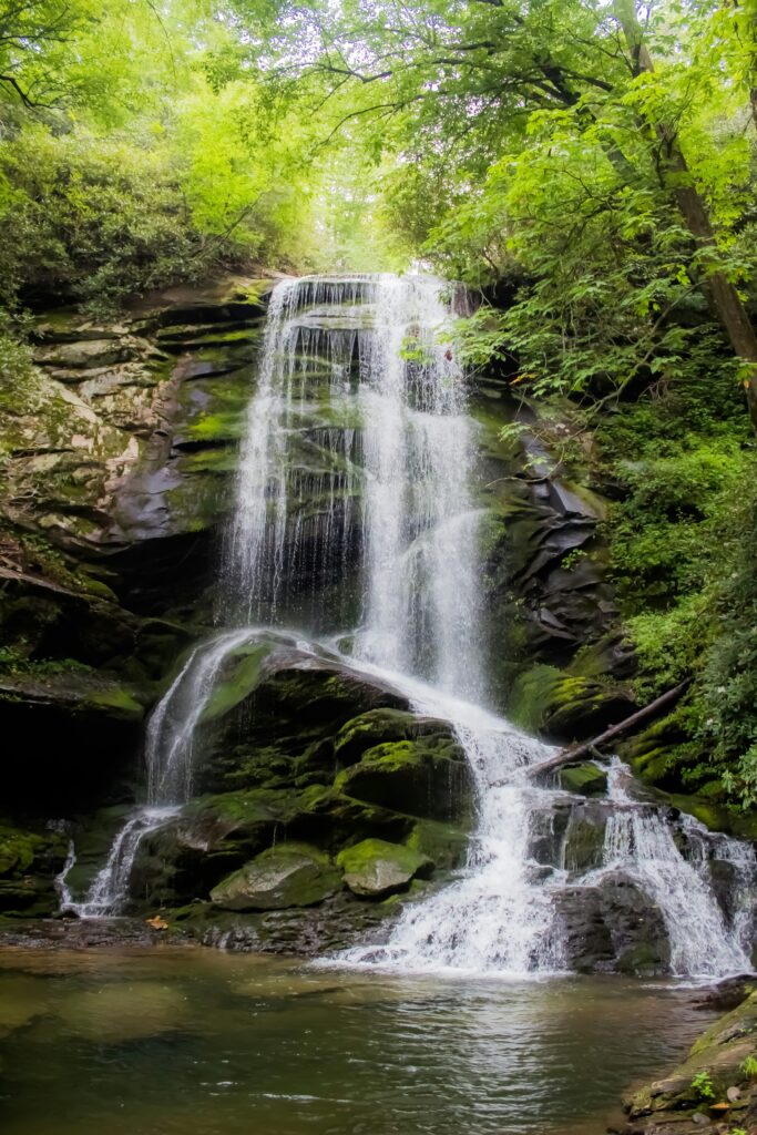 fantail falls, new zealand