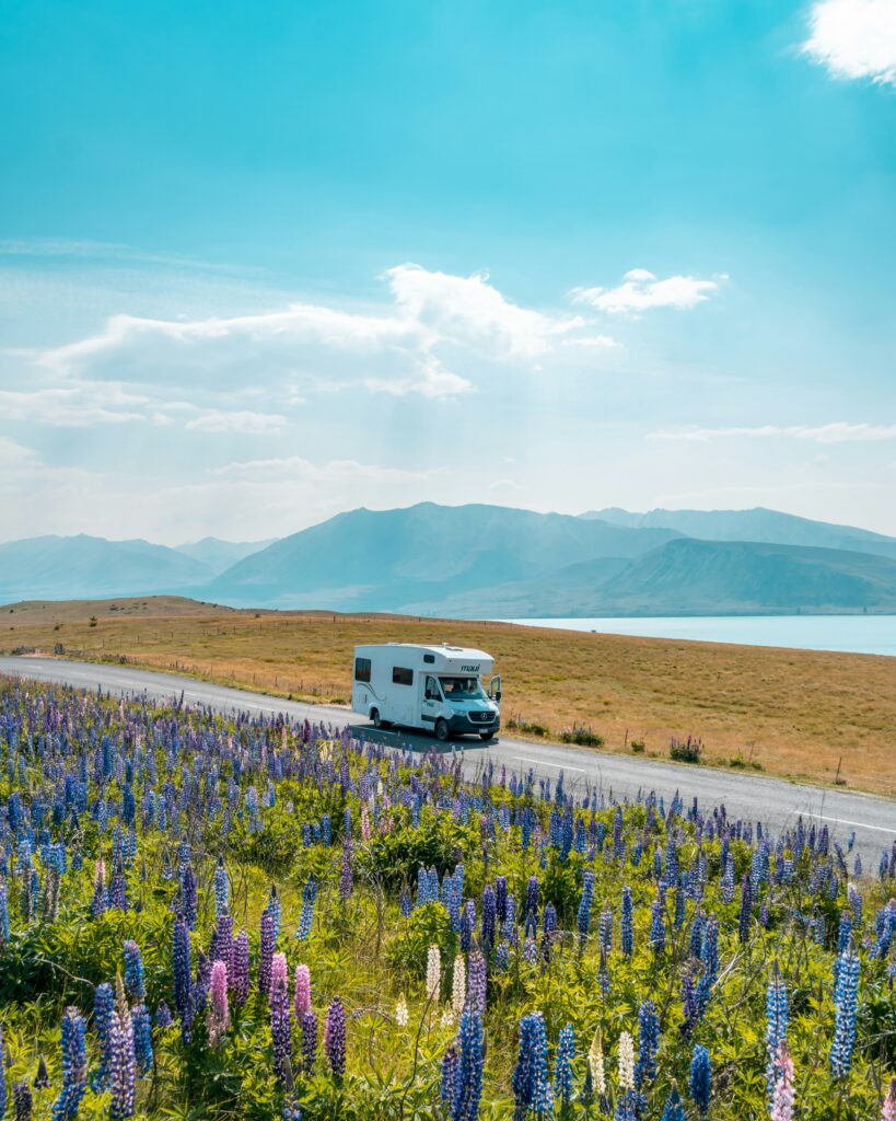 buying a campervan in New Zealand. Campervan driving by lake tekapo, new zealand. purple flowers in foreground