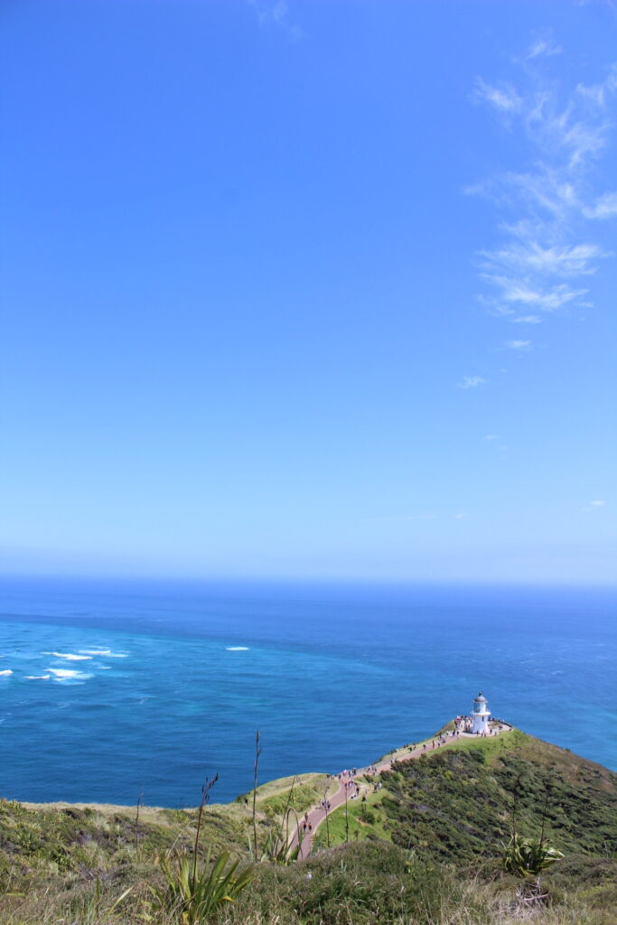 view of cape reinga lighthouse on cliff with ocean in babckground, new zealand. 