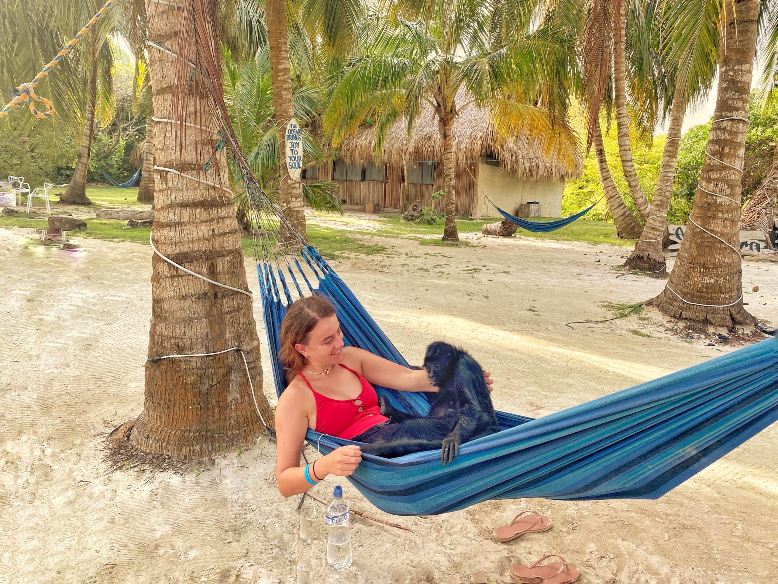 melody in hammock on beach with rescue monkey on lap in colombia