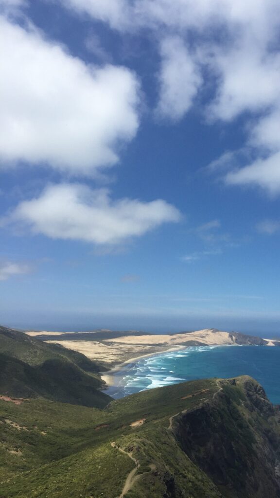 te werahi beach track with view of beach and ocean in background, new zealand.