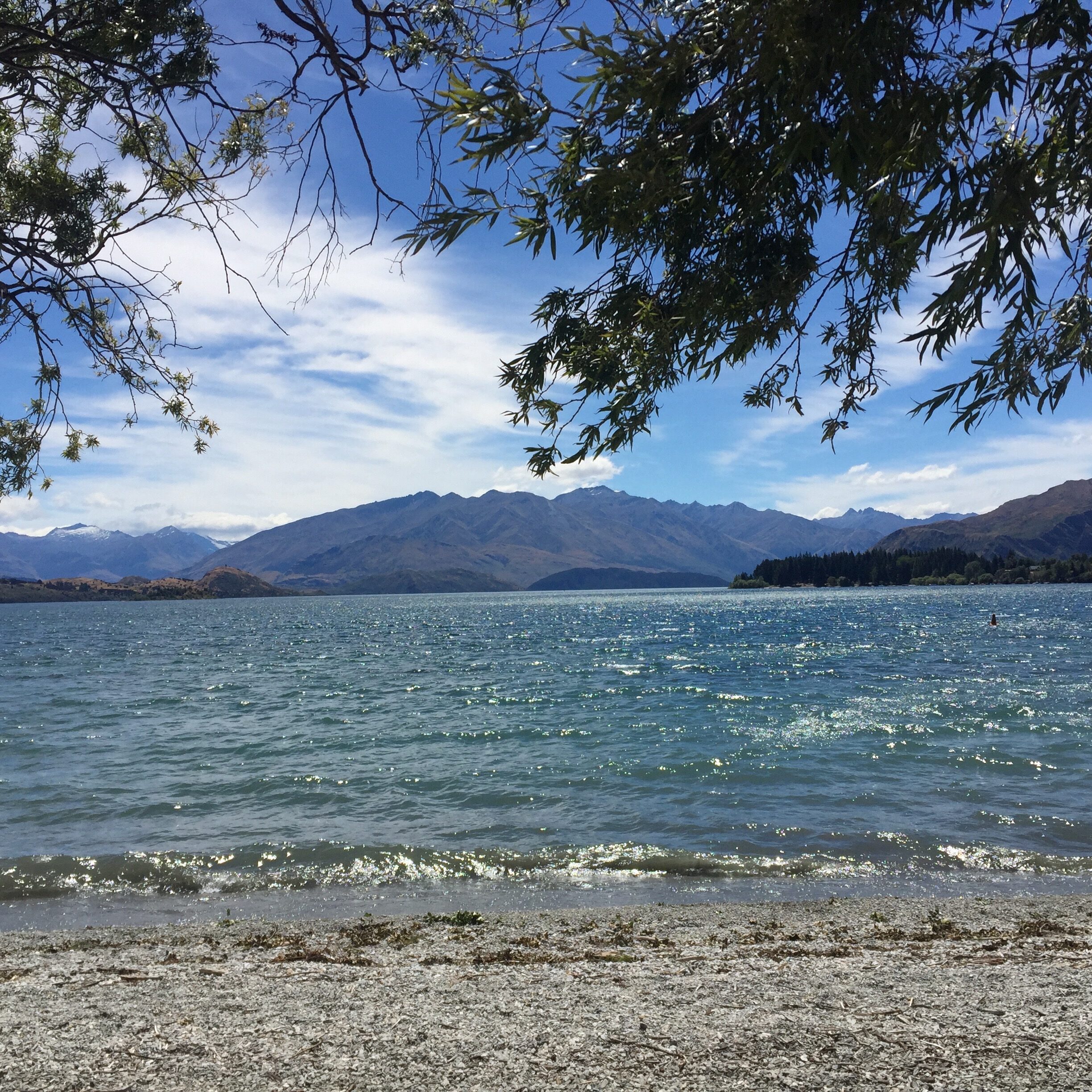 lake wanaka, new zealand. tree branches framing foreground