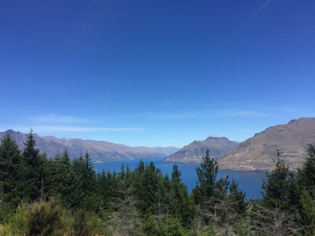 queenstown hill, new zealand- trees, lake and mountain.