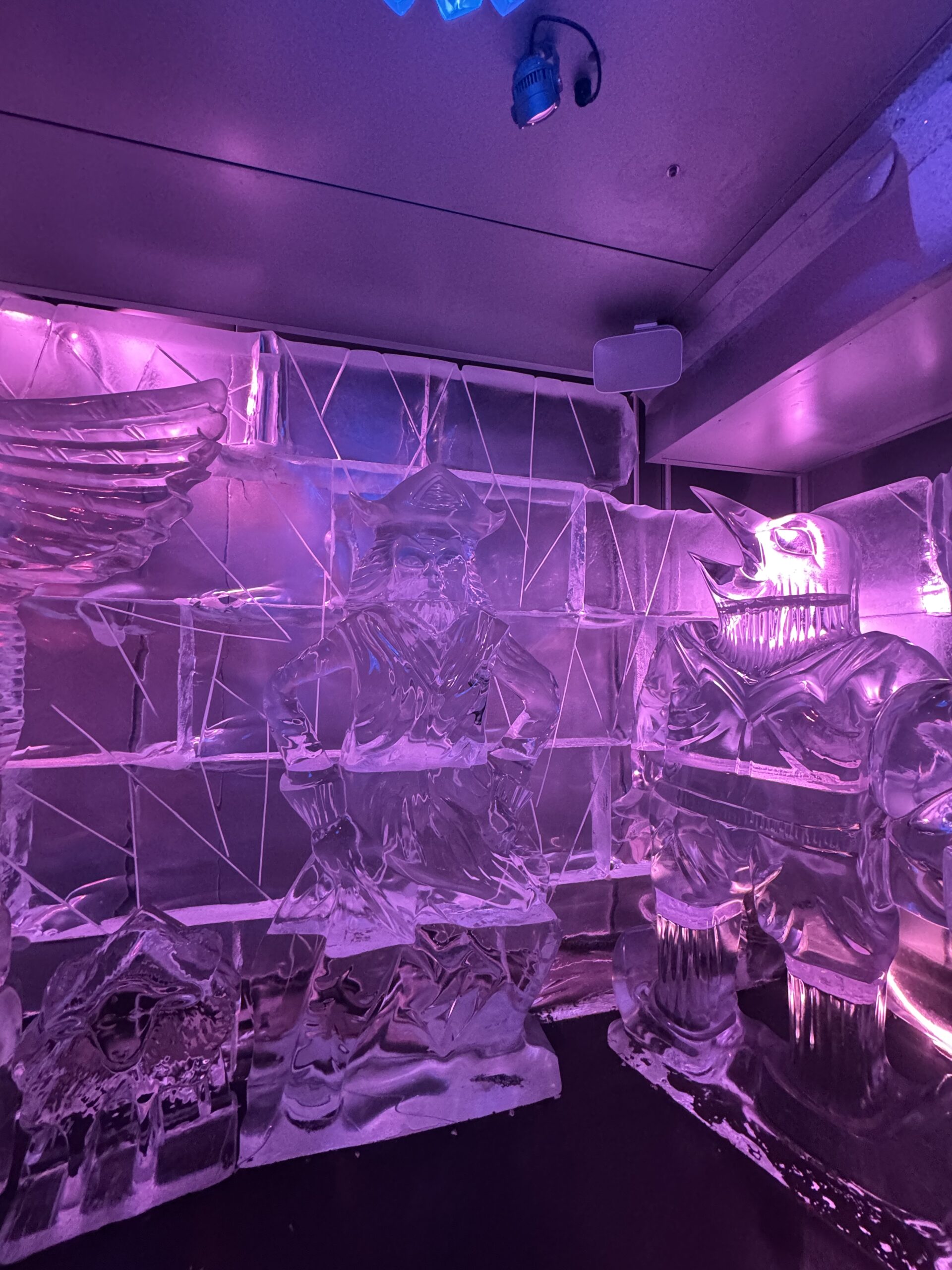 ice bar in queenstown,  new zealand